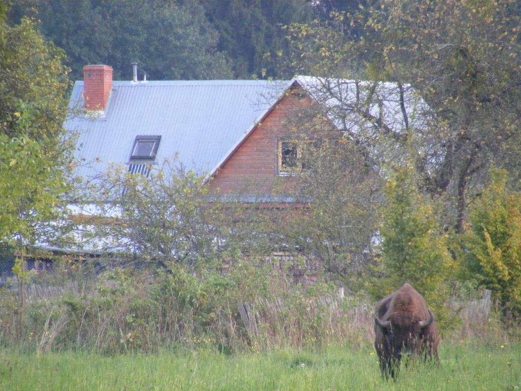 Apartmán Olsik Białowieża Exteriér fotografie